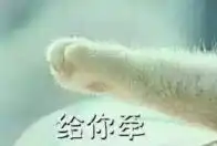 猫爪牵手表情包全套表情