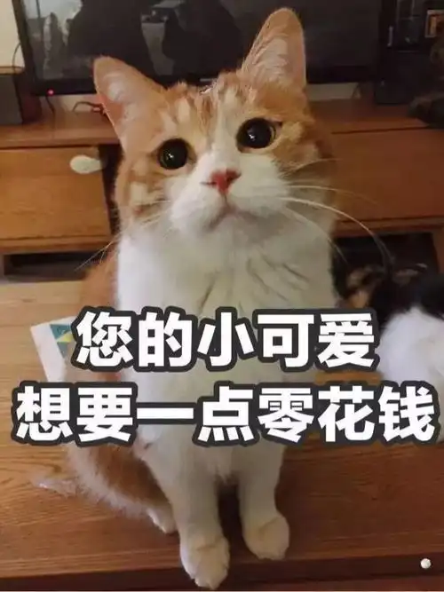  双十一,到底该抢点啥