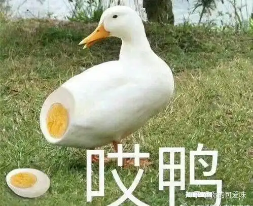  在华北水利水电大学就读是怎样一番体验