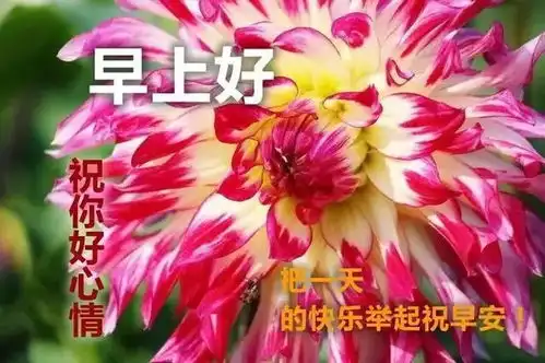  亲爱的早上好啊,送你清新的问候,温馨的祝福,清晨好