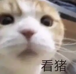  过分真实大学生宿舍生活真相曝光