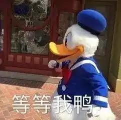 奋斗的表情包图片唐老鸭