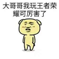  王者荣耀斗图表情包第155期听说过肉鲁班么
