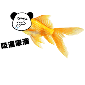 放生小蝌蚪表情包动图