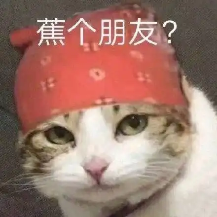  猫咪坐扫地机器人出事故gifgif猫咪扫地机器人事故表情