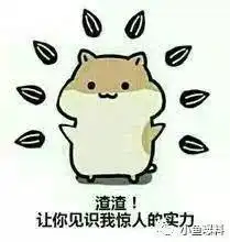  台风古超机智地绕过台湾,意图登陆福建南部,然而南安上午还是阳光明媚......