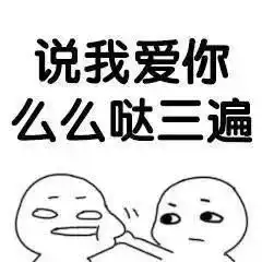  今日份表情包