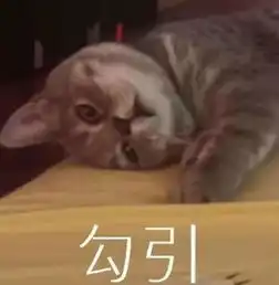 如何自己做一个表情包主