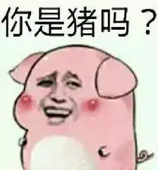  一句话形容你的专业,看到有养猪的我就放心了hhh