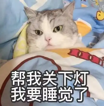  我想养只猫咪,可是担心花销太高