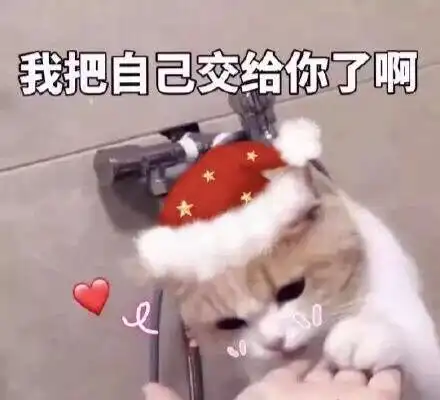  圣诞饰品盘点圣诞穿什么才能成为au最靓的崽呢