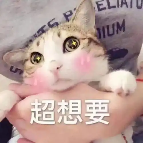 别人家的小猫咪,总是那么与众不同羡慕哭了