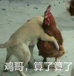  神吐槽上帝给他们留了门还开了全景天窗