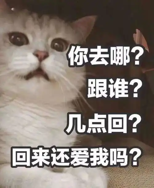  12星座黏人指数排行榜原来他们一个比一个黏人