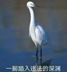  博罗车主在长宁遭到碰瓷,这种大汉围攻的套路太可怕