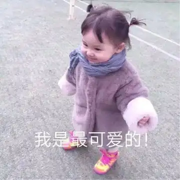  最新热门表情包动图片可爱大全