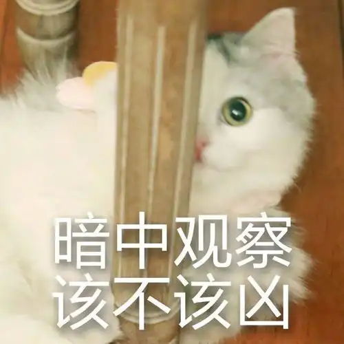  月亮