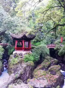  被泼猴狂虐的悲催峨眉山乐山大佛徒步登顶之旅oo更新中...