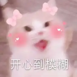  法式小衬衫,显高气质浪漫又好看
