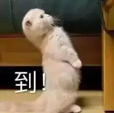  痛哭再不宣,我就要被迫放弃出国了
