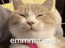  有人在成都艾米丽整形医院做过整形嘛这个医院正规吗能不能谈谈感受