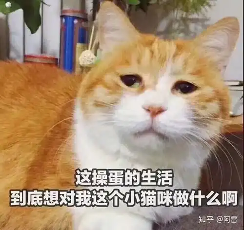 功利主义的道德困境