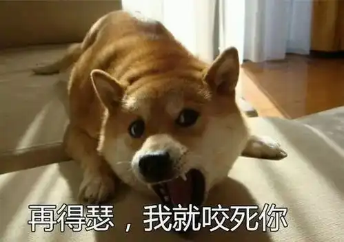  翻译能妙到什么地步看完想摔词典