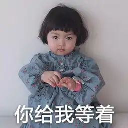  表情sir贱人贱人