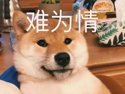  今日表情推荐,17