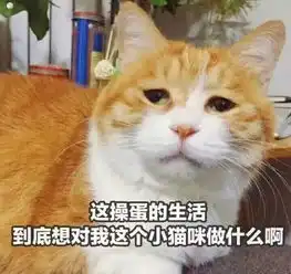  带上头盔穿上防爆服,然后你告诉我什么都不做今天的我可怜弱小又无助...