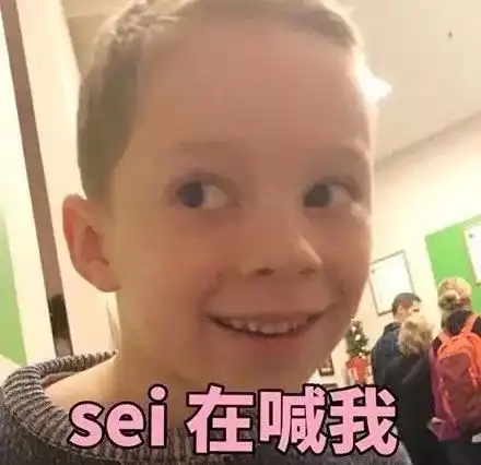 问号男孩表情包密语