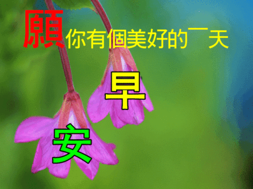  二月二龙抬头早上好动态表情包大全,早上好问候语吉祥动态图片