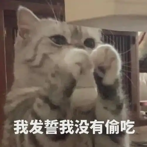  如何看待985头这一现象反映了中国什么样的家庭教育观念
