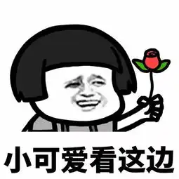  表情丨小可爱看这边动漫频道