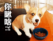 双十一特供扫货,是一群光棍的狂gu欢dan