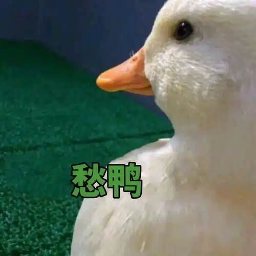  10月爱用每一个都无限回购,好用到吹爆