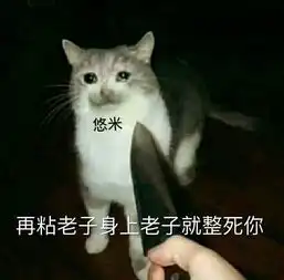 猫爪牵手表情包全套猫爪