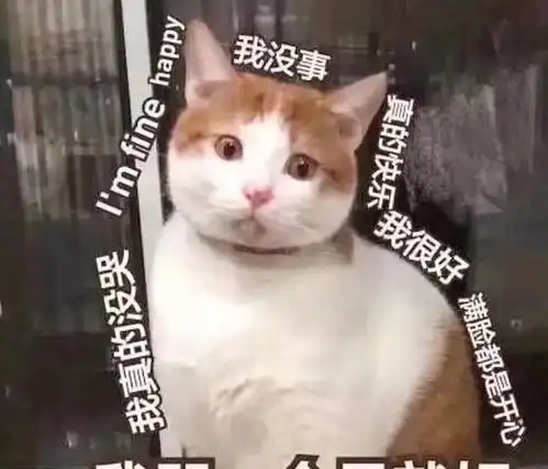  身在农村的父母装了wifi后,城里的子女似乎就被安上了监控器