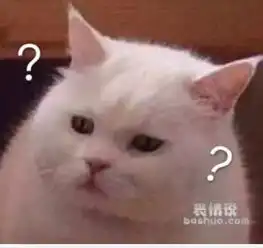  求这张猫一脸问号的表情包高清原图,谢谢
