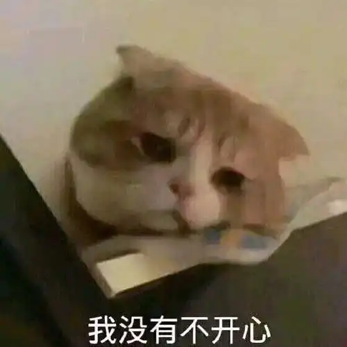 我确实是个直男表情包吸
