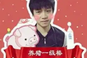 明凯表情包明抢