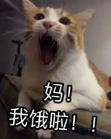  不要喊妈她和7岁儿子签下的这份条约火了