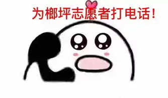  这个周六,请为他们打call