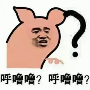 带问号的表情包问号