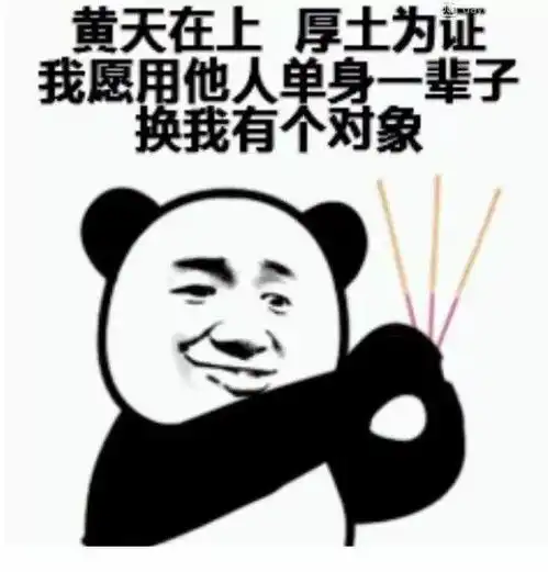  熊猫头表情包i是什么蒙蔽了我的双眼
