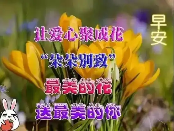  周四最新版漂亮早晨好动态表情图片早上好祝福表情动态图片