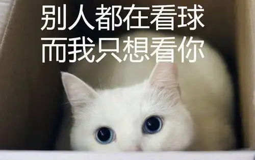  世界杯土情话,这球真甜