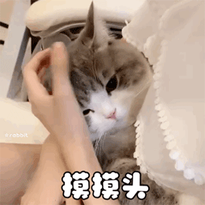  斗图必备沙雕表情包