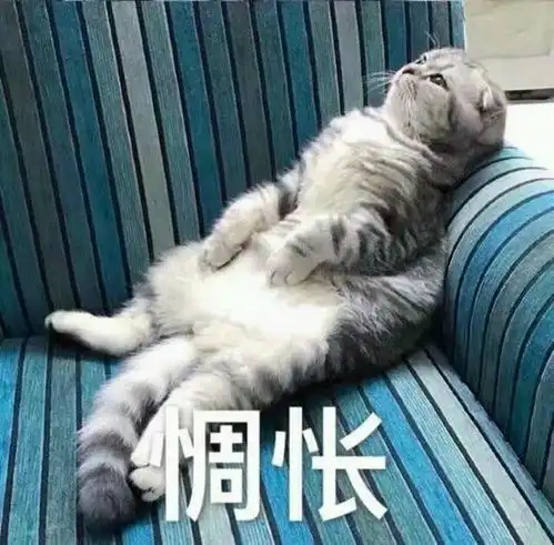  情人节将至诚意送上单身狗躲避攻略