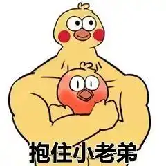  动态作品集